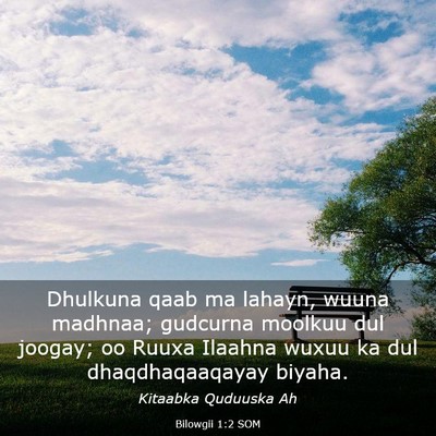 Picture 03 - Bilowgii 1:2 SOM - Dhulkuna qaab ma lahayn, wuuna madhnaa; gudcurna - Bible Verse Picture