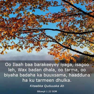 Picture 03 - Bilowgii 1:22 SOM - Oo Ilaah baa barakeeyey iyaga, isagoo leh, Wax - Bible Verse Picture