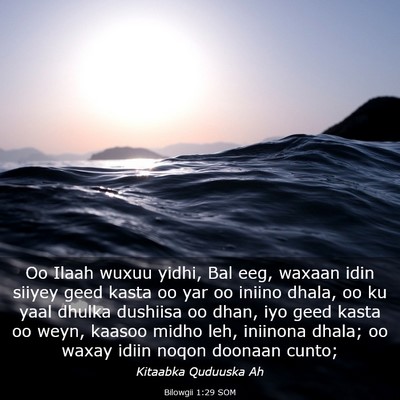 Picture 03 - Bilowgii 1:29 SOM - Oo Ilaah wuxuu yidhi, Bal eeg, waxaan idin siiyey - Bible Verse Picture