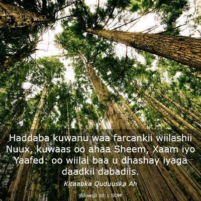 Picture 03 - Bilowgii 10:1 SOM - Haddaba kuwanu waa farcankii wiilashii Nuux, - Bible Verse Picture