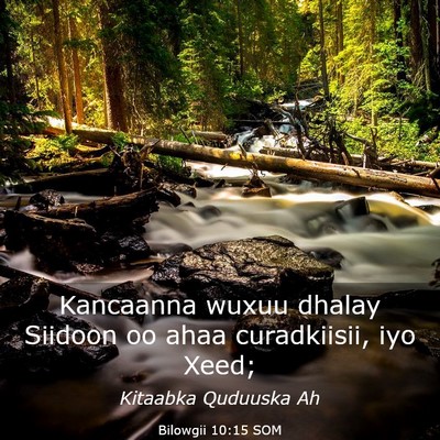 Picture 03 - Bilowgii 10:15 SOM - Kancaanna wuxuu dhalay Siidoon oo ahaa - Bible Verse Picture