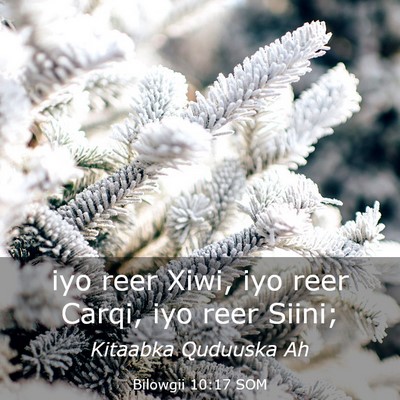 Picture 03 - Bilowgii 10:17 SOM - iyo reer Xiwi, iyo reer Carqi, iyo reer - Bible Verse Picture