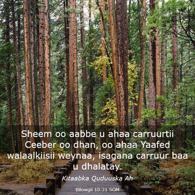 Picture 03 - Bilowgii 10:21 SOM - Sheem oo aabbe u ahaa carruurtii Ceeber oo dhan, - Bible Verse Picture