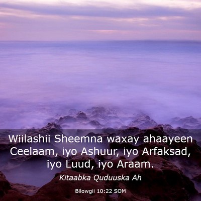 Picture 03 - Bilowgii 10:22 SOM - Wiilashii Sheemna waxay ahaayeen Ceelaam, iyo - Bible Verse Picture