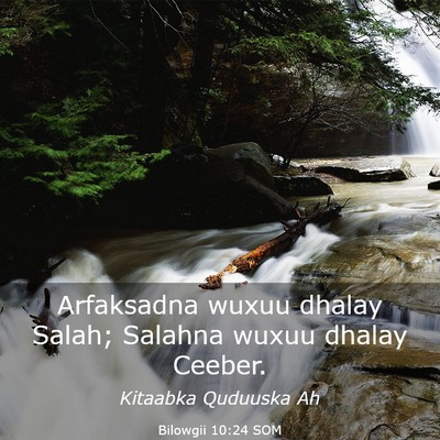 Picture 03 - Bilowgii 10:24 SOM - Arfaksadna wuxuu dhalay Salah; Salahna wuxuu - Bible Verse Picture