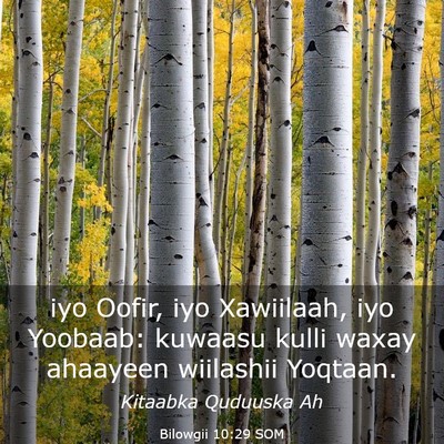 Picture 03 - Bilowgii 10:29 SOM - iyo Oofir, iyo Xawiilaah, iyo Yoobaab: kuwaasu - Bible Verse Picture