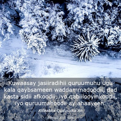 Picture 03 - Bilowgii 10:5 SOM - Kuwaasay jasiiradihii quruumuhu ugu kala - Bible Verse Picture