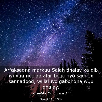 Picture 03 - Bilowgii 11:13 SOM - Arfaksadna markuu Salah dhalay ka dib wuxuu - Bible Verse Picture