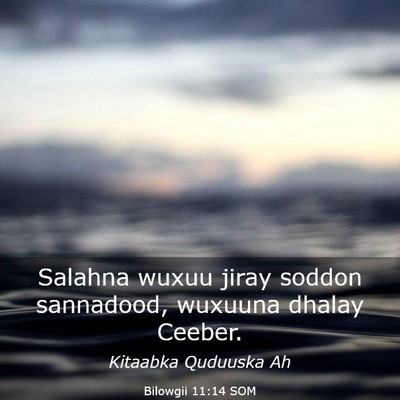 Picture 03 - Bilowgii 11:14 SOM - Salahna wuxuu jiray soddon sannadood, wuxuuna - Bible Verse Picture