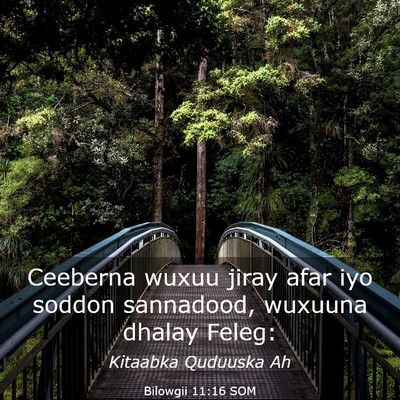 Picture 03 - Bilowgii 11:16 SOM - Ceeberna wuxuu jiray afar iyo soddon sannadood, - Bible Verse Picture