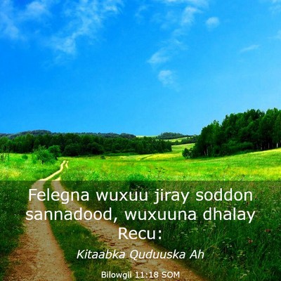 Picture 03 - Bilowgii 11:18 SOM - Felegna wuxuu jiray soddon sannadood, wuxuuna - Bible Verse Picture