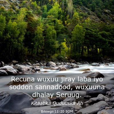 Picture 03 - Bilowgii 11:20 SOM - Recuna wuxuu jiray laba iyo soddon sannadood, - Bible Verse Picture