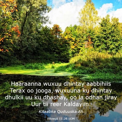 Picture 03 - Bilowgii 11:28 SOM - Haaraanna wuxuu dhintay aabbihiis Terax oo jooga, - Bible Verse Picture