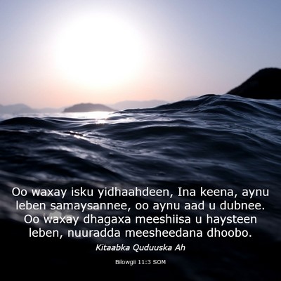 Picture 03 - Bilowgii 11:3 SOM - Oo waxay isku yidhaahdeen, Ina keena, aynu leben - Bible Verse Picture