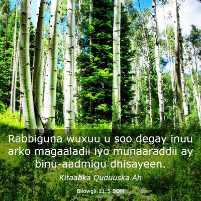 Picture 03 - Bilowgii 11:5 SOM - Rabbiguna wuxuu u soo degay inuu arko magaaladii - Bible Verse Picture