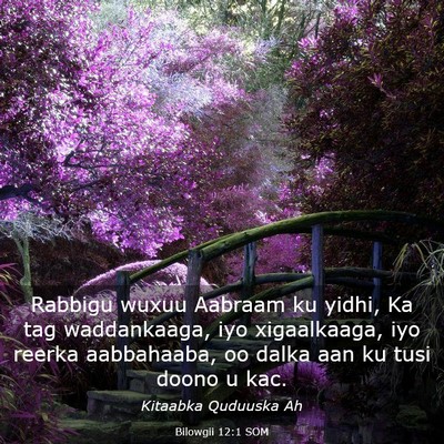 Picture 03 - Bilowgii 12:1 SOM - Rabbigu wuxuu Aabraam ku yidhi, Ka tag - Bible Verse Picture