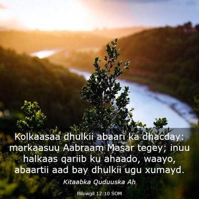 Picture 03 - Bilowgii 12:10 SOM - Kolkaasaa dhulkii abaari ka dhacday: markaasuu - Bible Verse Picture