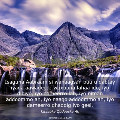 Picture 03 - Bilowgii 12:16 SOM - Isaguna Aabraam si wanaagsan buu u qabtay iyada - Bible Verse Picture
