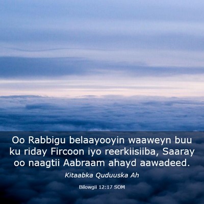 Picture 03 - Bilowgii 12:17 SOM - Oo Rabbigu belaayooyin waaweyn buu ku riday - Bible Verse Picture