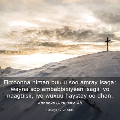 Picture 03 - Bilowgii 12:20 SOM - Fircoonna niman buu u soo amray isaga: wayna soo - Bible Verse Picture