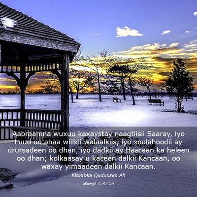 Picture 03 - Bilowgii 12:5 SOM - Aabraamna wuxuu kaxaystay naagtiisii Saaray, iyo - Bible Verse Picture