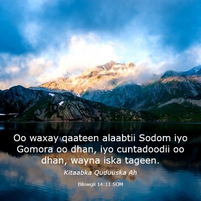 Picture 03 - Bilowgii 14:11 SOM - Oo waxay qaateen alaabtii Sodom iyo Gomora oo - Bible Verse Picture