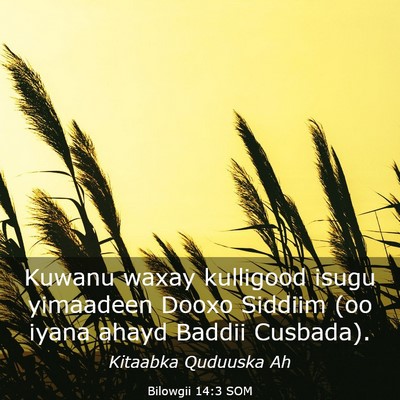 Picture 03 - Bilowgii 14:3 SOM - Kuwanu waxay kulligood isugu yimaadeen Dooxo - Bible Verse Picture