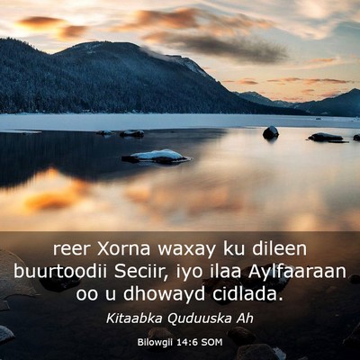 Picture 03 - Bilowgii 14:6 SOM - reer Xorna waxay ku dileen buurtoodii Seciir, iyo - Bible Verse Picture