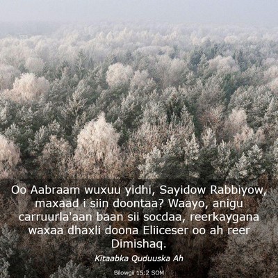 Picture 03 - Bilowgii 15:2 SOM - Oo Aabraam wuxuu yidhi, Sayidow Rabbiyow, maxaad - Bible Verse Picture