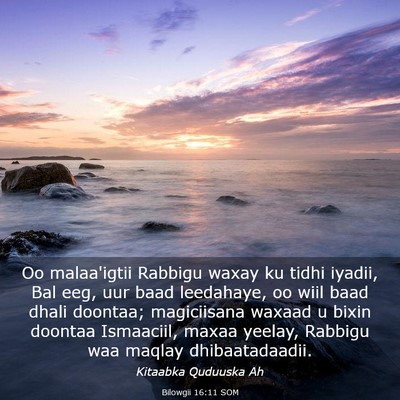 Picture 03 - Bilowgii 16:11 SOM - Oo malaa'igtii Rabbigu waxay ku tidhi iyadii, Bal - Bible Verse Picture