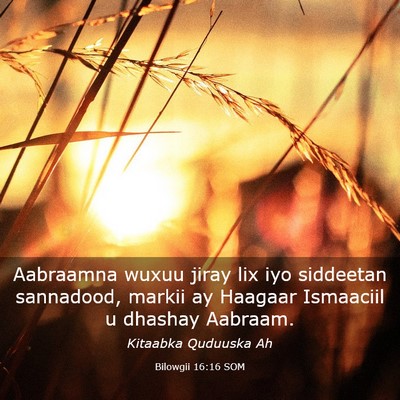 Picture 03 - Bilowgii 16:16 SOM - Aabraamna wuxuu jiray lix iyo siddeetan - Bible Verse Picture
