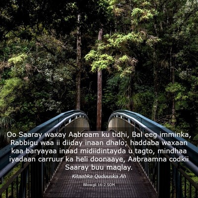Picture 03 - Bilowgii 16:2 SOM - Oo Saaray waxay Aabraam ku tidhi, Bal eeg - Bible Verse Picture