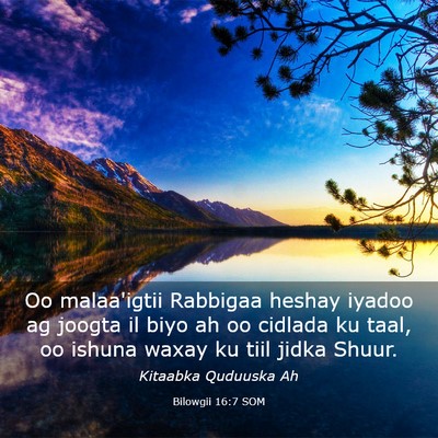 Picture 03 - Bilowgii 16:7 SOM - Oo malaa'igtii Rabbigaa heshay iyadoo ag joogta - Bible Verse Picture