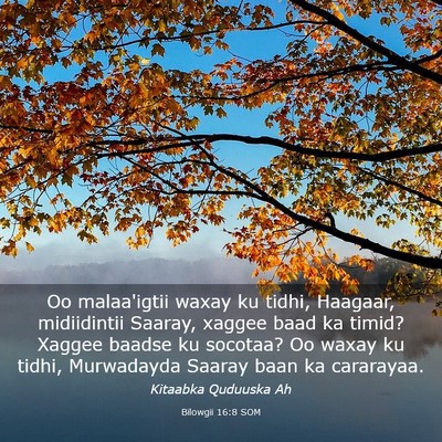 Picture 03 - Bilowgii 16:8 SOM - Oo malaa'igtii waxay ku tidhi, Haagaar, - Bible Verse Picture