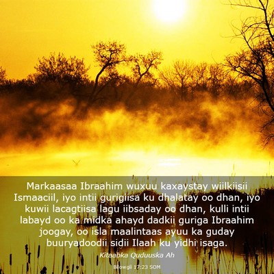 Picture 03 - Bilowgii 17:23 SOM - Markaasaa Ibraahim wuxuu kaxaystay wiilkiisii - Bible Verse Picture