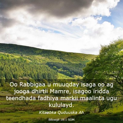 Picture 03 - Bilowgii 18:1 SOM - Oo Rabbigaa u muuqday isaga oo ag jooga dhirtii - Bible Verse Picture
