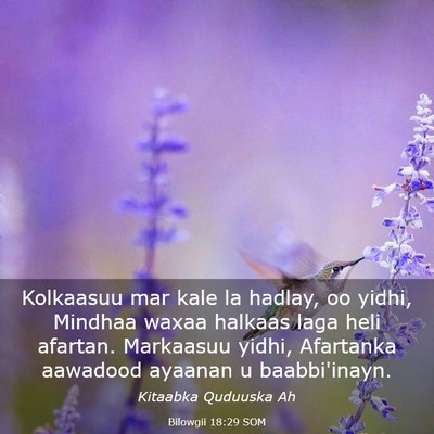 Picture 03 - Bilowgii 18:29 SOM - Kolkaasuu mar kale la hadlay, oo yidhi, Mindhaa - Bible Verse Picture