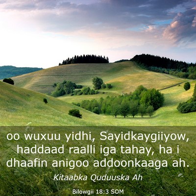 Picture 03 - Bilowgii 18:3 SOM - oo wuxuu yidhi, Sayidkaygiiyow, haddaad raalli - Bible Verse Picture