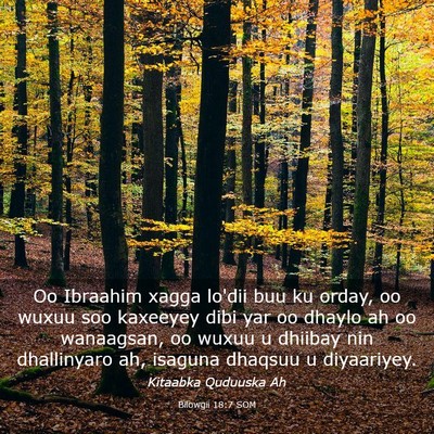 Picture 03 - Bilowgii 18:7 SOM - Oo Ibraahim xagga lo'dii buu ku orday, oo wuxuu - Bible Verse Picture
