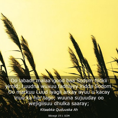 Picture 03 - Bilowgii 19:1 SOM - Oo labadii malaa'igood baa Sodom fiidkii yimid; - Bible Verse Picture