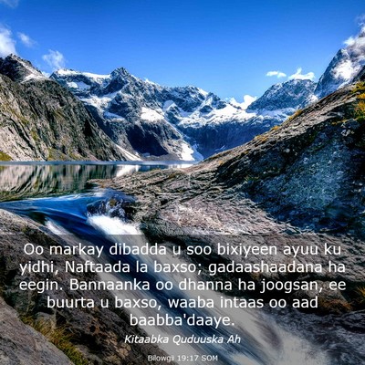 Picture 03 - Bilowgii 19:17 SOM - Oo markay dibadda u soo bixiyeen ayuu ku yidhi, - Bible Verse Picture