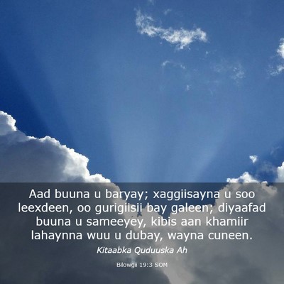 Picture 03 - Bilowgii 19:3 SOM - Aad buuna u baryay; xaggiisayna u soo leexdeen, - Bible Verse Picture