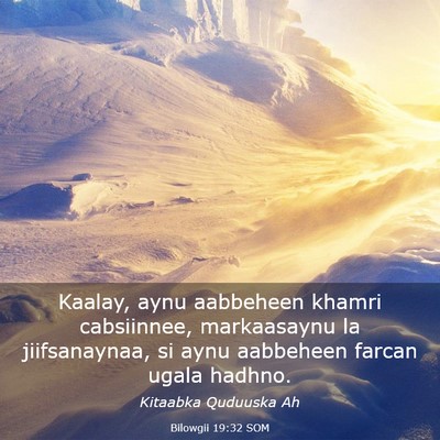 Picture 03 - Bilowgii 19:32 SOM - Kaalay, aynu aabbeheen khamri cabsiinnee, - Bible Verse Picture