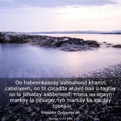 Picture 03 - Bilowgii 19:33 SOM - Oo habeenkaasay aabbahood khamri cabsiiyeen, oo - Bible Verse Picture