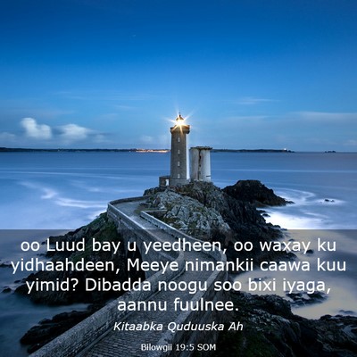 Picture 03 - Bilowgii 19:5 SOM - oo Luud bay u yeedheen, oo waxay ku yidhaahdeen, - Bible Verse Picture