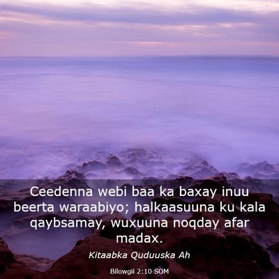 Picture 03 - Bilowgii 2:10 SOM - Ceedenna webi baa ka baxay inuu beerta waraabiyo; - Bible Verse Picture