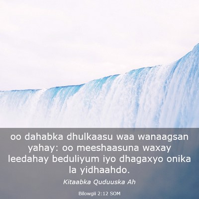 Picture 03 - Bilowgii 2:12 SOM - oo dahabka dhulkaasu waa wanaagsan yahay: oo - Bible Verse Picture