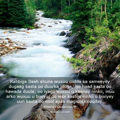 Picture 03 - Bilowgii 2:19 SOM - Rabbiga Ilaah ahuna wuxuu ciidda ka sameeyey - Bible Verse Picture