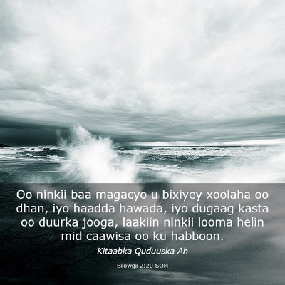 Picture 03 - Bilowgii 2:20 SOM - Oo ninkii baa magacyo u bixiyey xoolaha oo dhan, - Bible Verse Picture