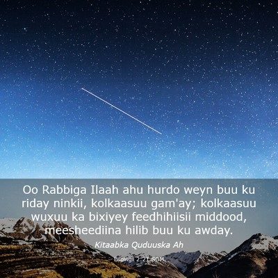Picture 03 - Bilowgii 2:21 SOM - Oo Rabbiga Ilaah ahu hurdo weyn buu ku riday - Bible Verse Picture